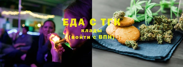 хмурый Аркадак