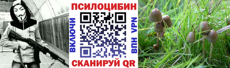 Псилоцибиновые грибы Psilocybine cubensis  Куса 